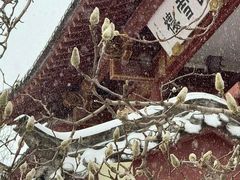 -山东省立医院(中心院区)
