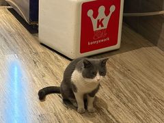-海茵汇(萧山店)
