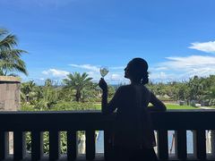 -海南清水湾莱佛士酒店