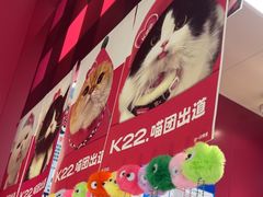 -K22.酸奶草莓(长春上海路万达店)