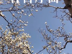 -颐和园