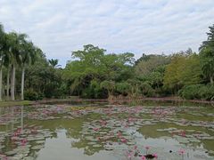 -中国科学院西双版纳热带植物园