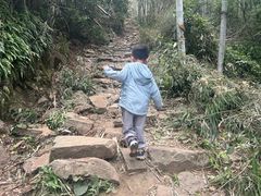 -东明山森林公园