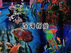 -顺德南宏海立方海洋公园