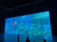 -哈尔滨波塞冬海底世界