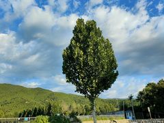 -北京西山国家森林公园