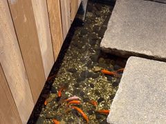 -邈墨茶馆(凤起路店)