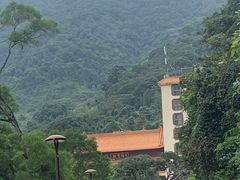 -深圳仙湖植物园