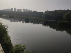 -前关湿地公园