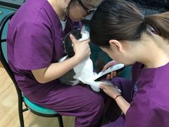 -瑞派宠物医院(锦江店)