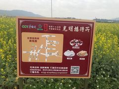 -光明小镇欢乐田园