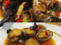 海螺太硬-回锦轩(泉园店)