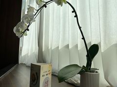 -开海·红岛海鲜虾水饺(万象城店)