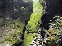 -牛背梁国家森林公园