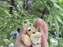 -君之狮子山·轻糖烘焙(松江印象城店)