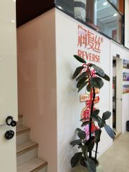-润复丝·泽发防脱头皮管理