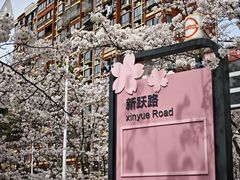 -高东镇樱花园