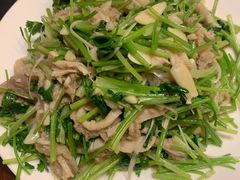 芫爆肚丝-来顺成饭庄