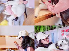 -Husky Go! 哈士奇体验馆·宠物咖啡厅狗咖
