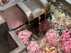 -瑞虹新天地月亮湾