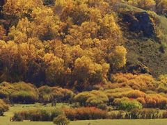 -塞罕坝国家级自然保护区