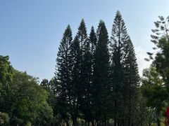 -人民公园(罗湖区)