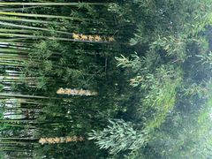 -东坡赤壁风景名胜区