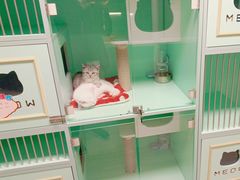 -猫宠乐园·专业洗护