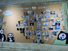 -福田家月子中心 产后 月嫂(市立母子医院店)