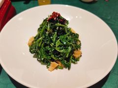 油炝枸杞芽-大鸽饭(汉溪长隆店)