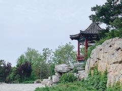 -大兴滨河森林公园