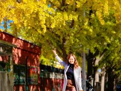 -三里屯东五街银杏大道
