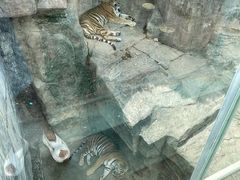 -泉城欧乐堡梦幻世界