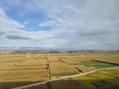 -吾穆勒蓬灰牛肉面·清真(北滨河中路店)