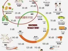 -自然之声助听器(平凉店)