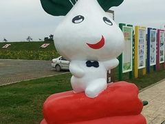 -上海都市菜园