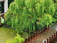 -上海崇明金茂凯悦酒店