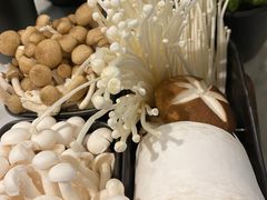 -新辣道鱼火锅(领展购物广场·中关村店)