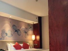 -常州环球恐龙城维景国际大酒店