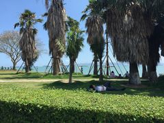 -黄金海岸环岛路