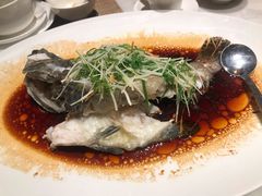 -顺德联塑万怡酒店·万荟轩自助餐厅