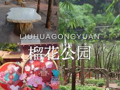 -榴花公园