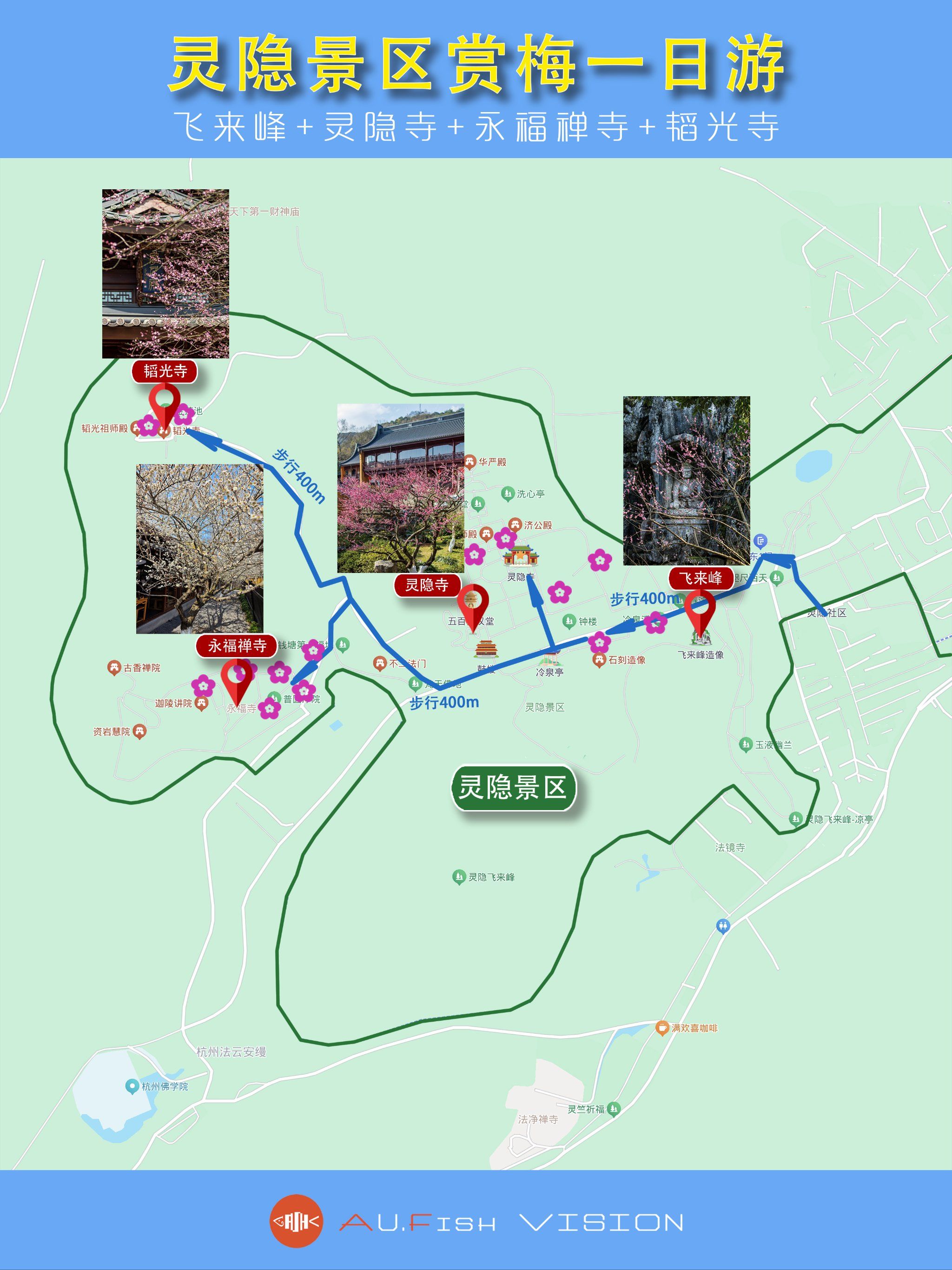 了2小时,周末可地铁 自行车
3️⃣灵隐景区内的梅花已经都盛开