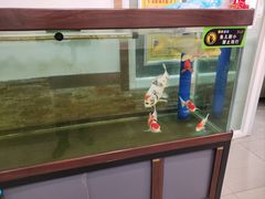 -骏记粥铺(五院店)