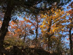 -照金香山旅游景区