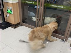 -瑞鹏宠物医院·夜间急症·心超·猫科(祖庙分店)