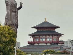 -品鲜村农家菜·阳澄湖大闸蟹(总店)