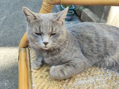 -猫岛主趣味餐厅(鼓浪屿店)