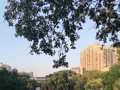 -荔湾湖公园