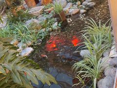 -顺峰·粤菜海鲜·早茶自助(阜成店)